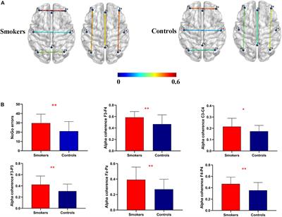 Increased resting-state alpha coherence and impaired inhibition control in young smokers